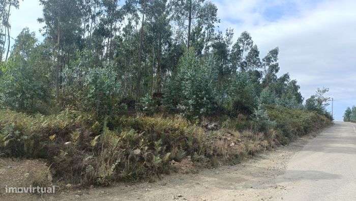 Prédio Misto - Albergaria a Velha - Grande imagem: 4/5