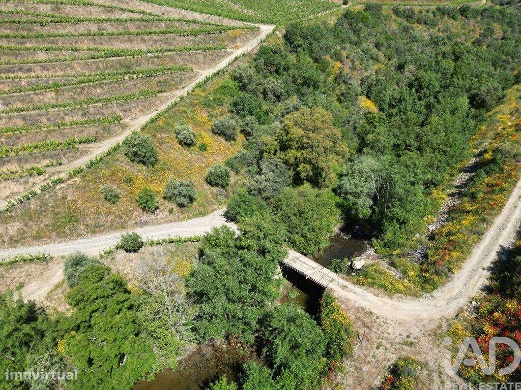 Quinta em Ervedosa do Douro de 72 m2 - Grande imagem: 4/18