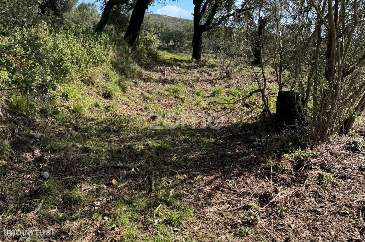 Terreno rústico localizado em Corte Grande, Monchique - Grande imagem: 5/15