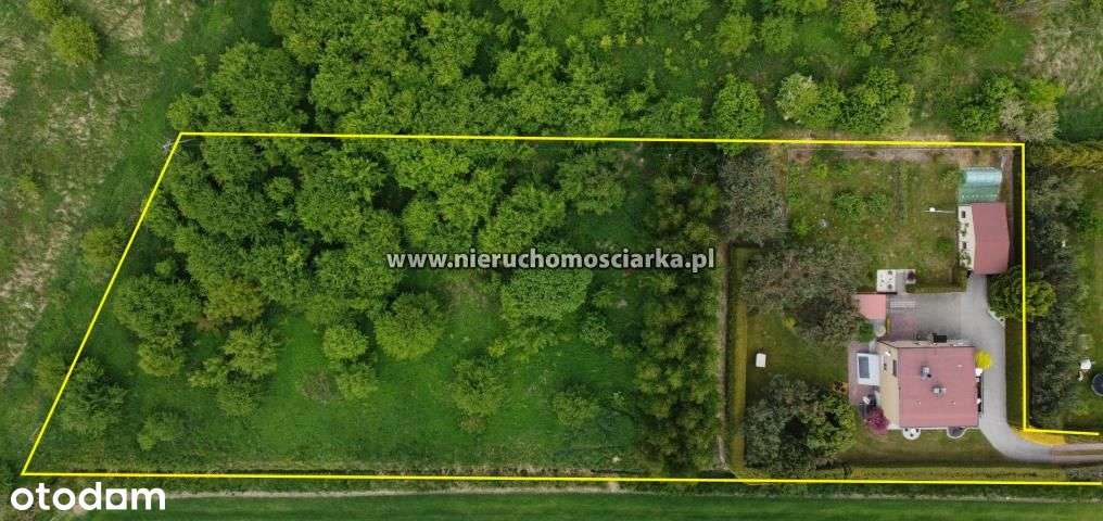 Dom na dużej działce w spokojnej okolicy Turza Śl - Pełny obrazek: 5/20