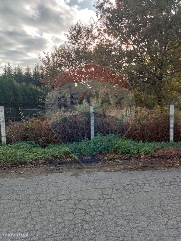 Terreno  para arrendamento - Grande imagem: 2/4