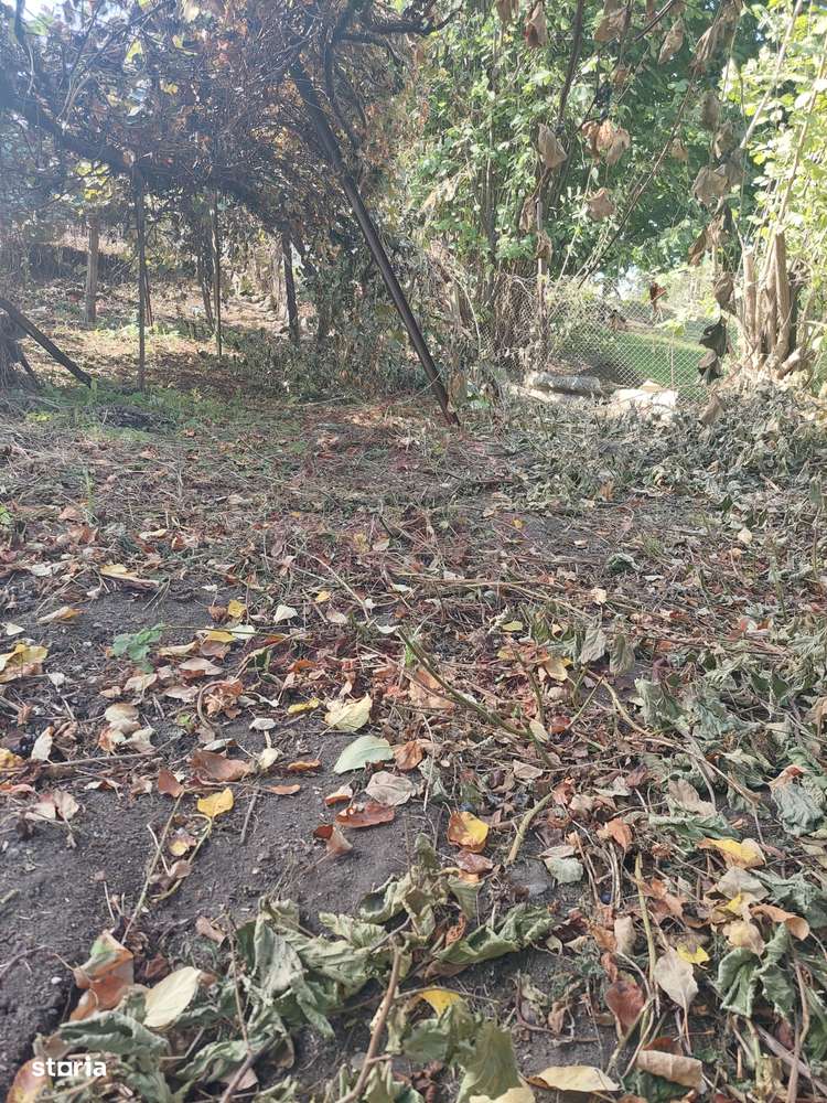 CASĂ DE VÂNZARE 2 CAMERE\ ZĂVOI\ JUD. CARAȘ-SEVERIN-4