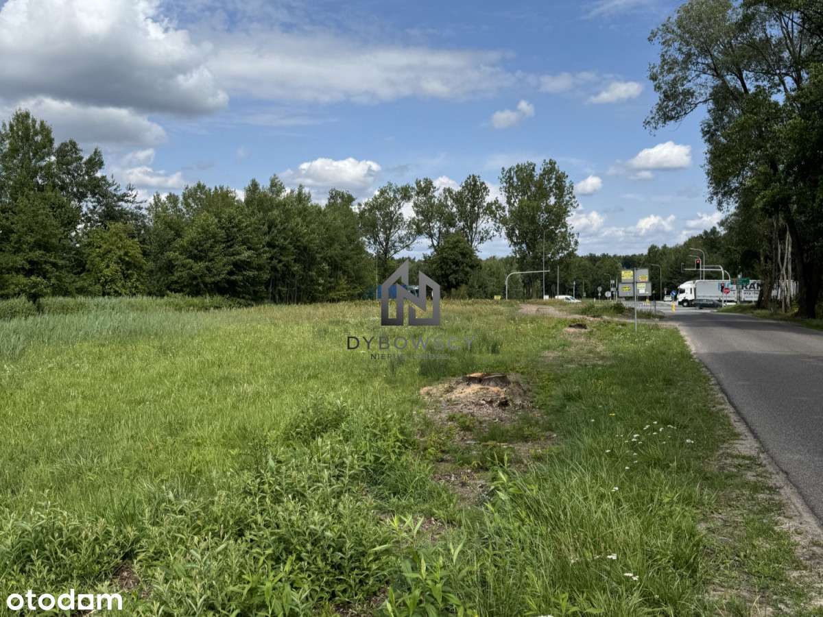 Duża działka usługowa przy trasie Nr.50 w Regucie - Pełny obrazek: 4/4