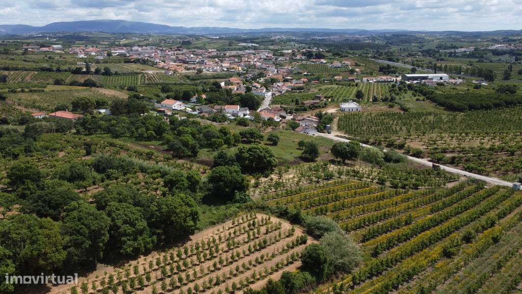 Venda Terreno - Grande imagem: 4/7