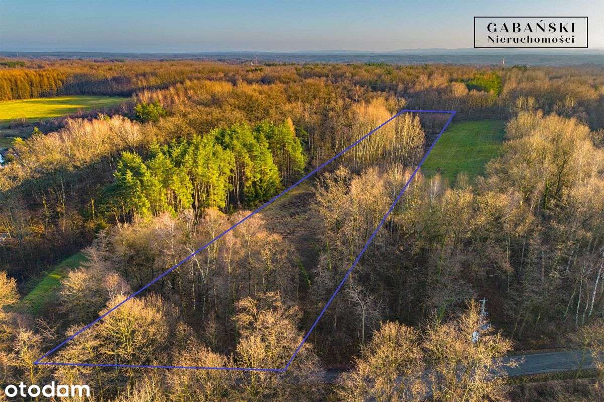 Działka budowlana na sprzedaż - Zaczarnie-4