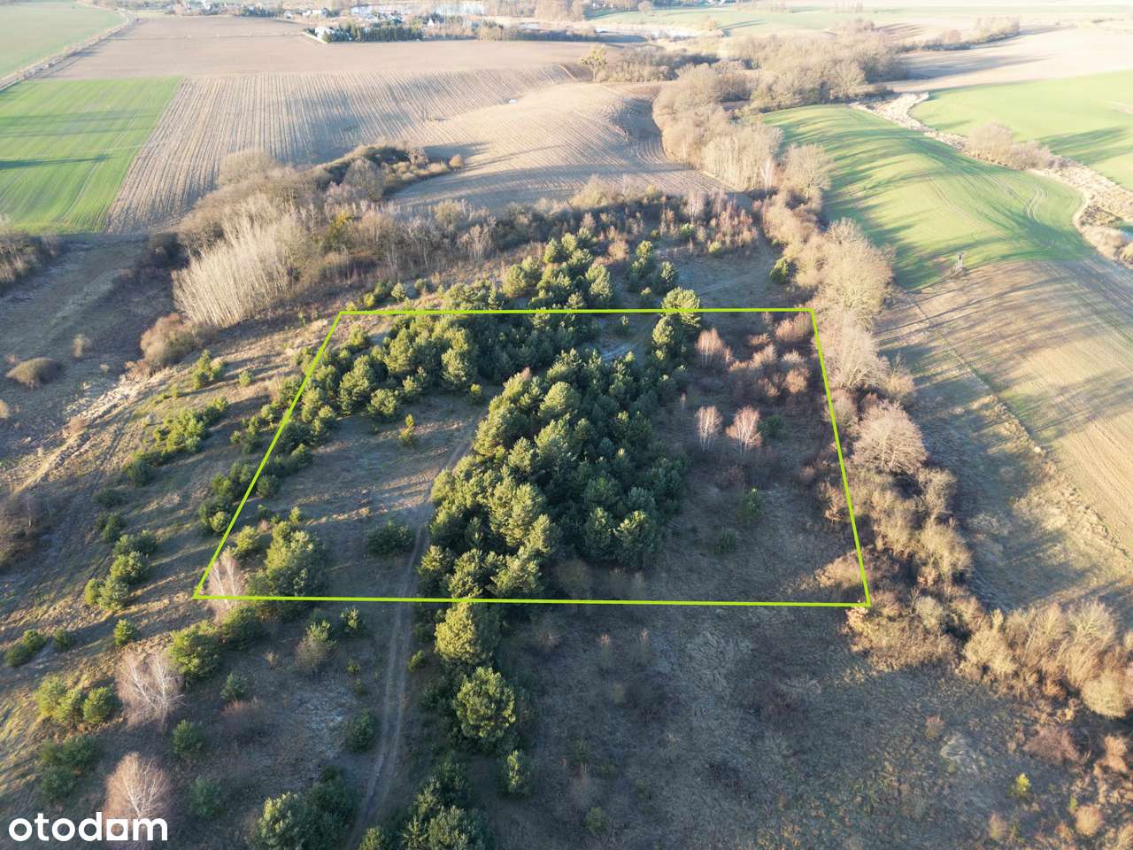 Działka rolna 10140 m2 Nienawiszcz gm. ROGOŹNO-0