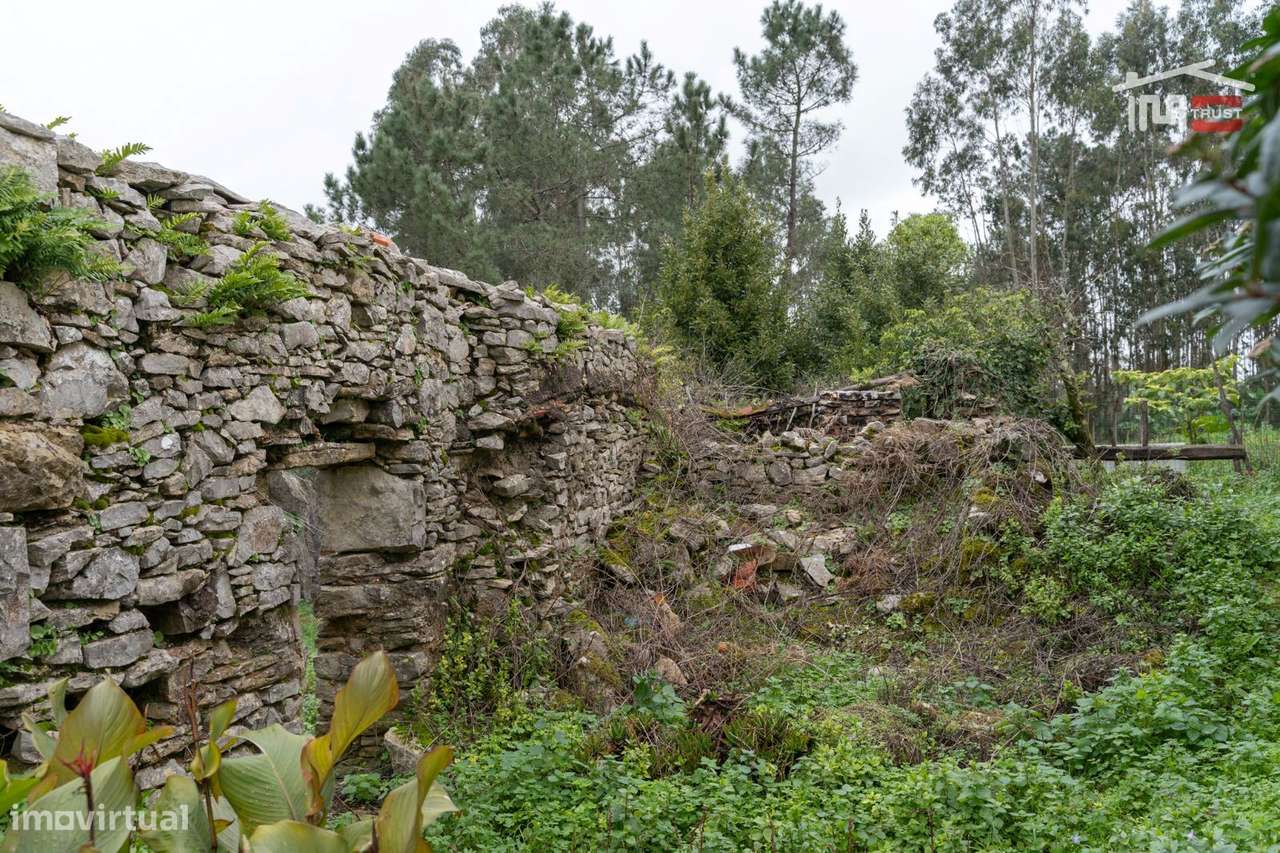 MORADIA T2 PARA RECUPERAR COM AREA COBERTA DE 238 M2 E AREA TOTAL D... - Grande imagem: 5/18