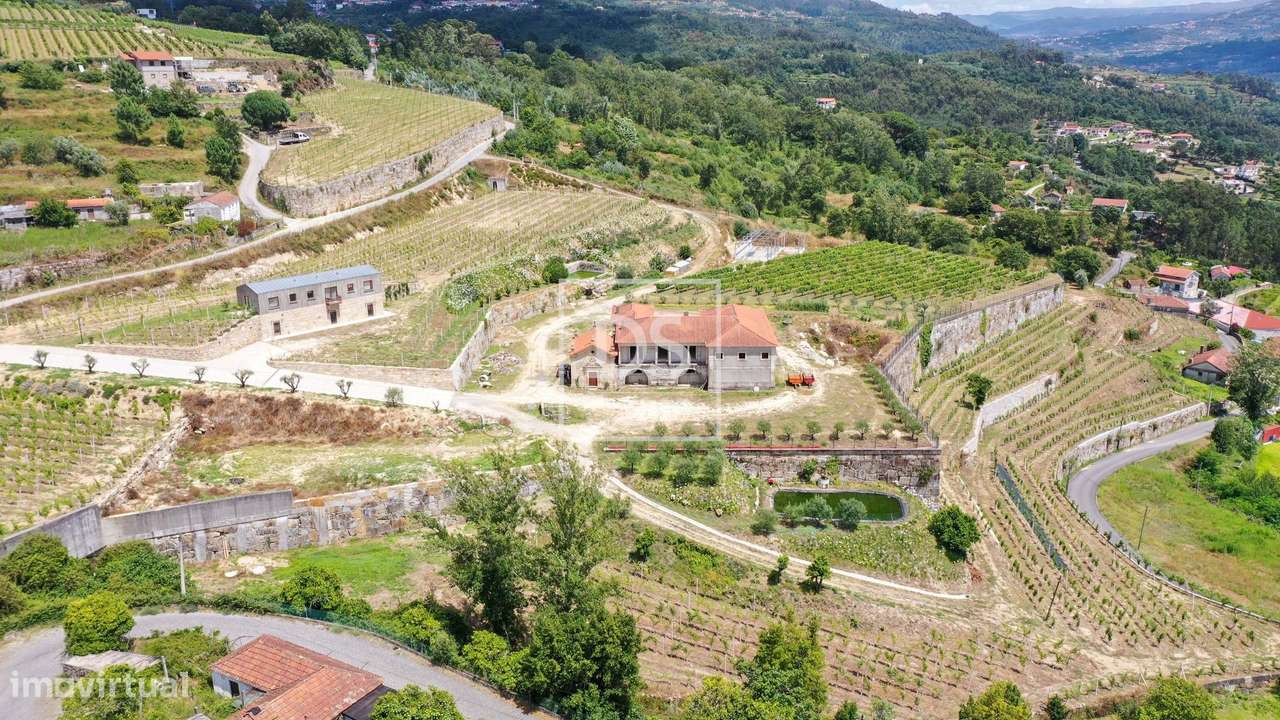 Quinta exclusiva em São Lourenço do Douro, Marco de Canaveses, com vis - Grande imagem: 3/53