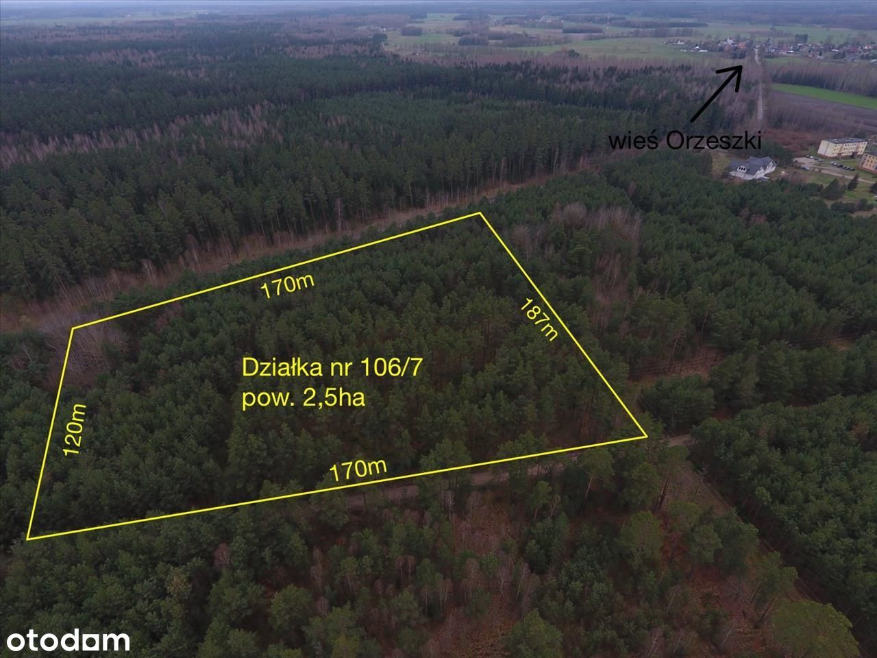 Dwie atrakcyjne, duże działki w Orzeszkach, Mazury