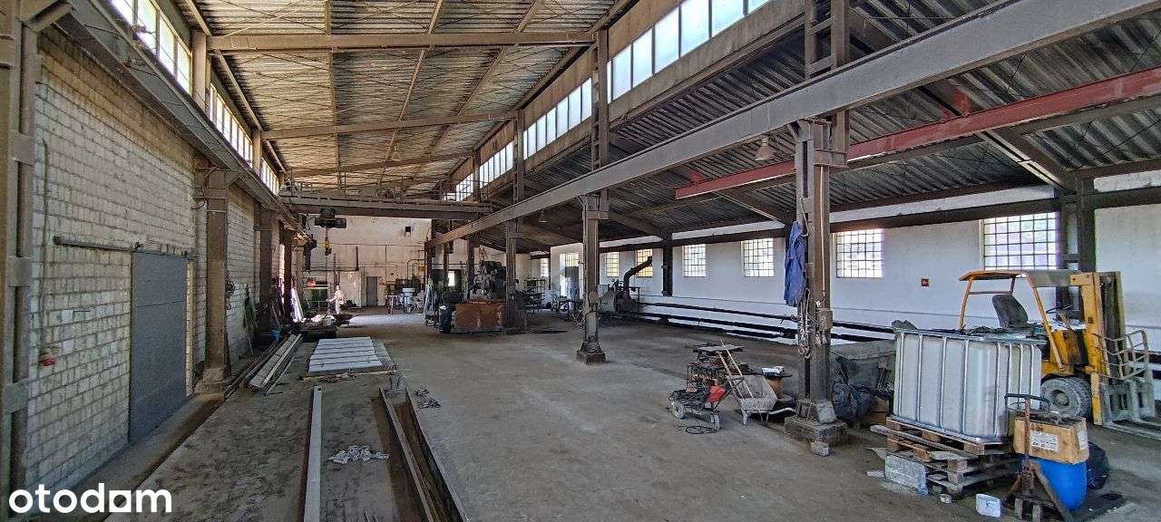 teren po zkładzie produkcyjnym - sprzedaż / dzierżawa - Pełny obrazek: 4/11