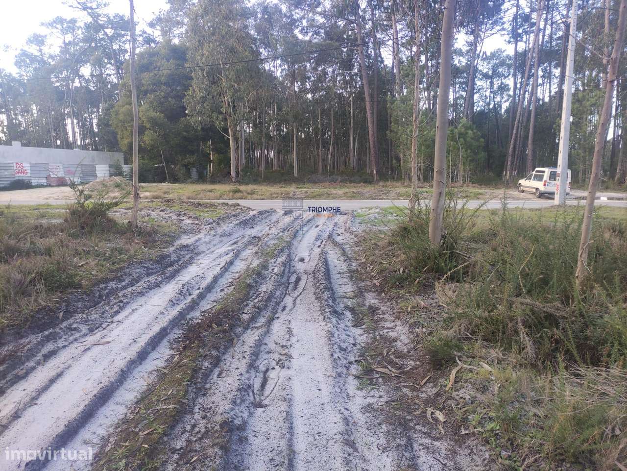 Terreno Rústico com cerca de 4.700 m2 Fonte Santa, Marinha Grande - Grande imagem: 3/25