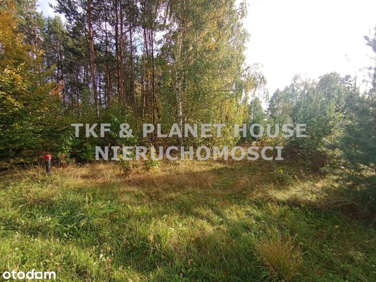 Działka 8800 m2 Bratków gm.Sławno - Pełny obrazek: 4/4