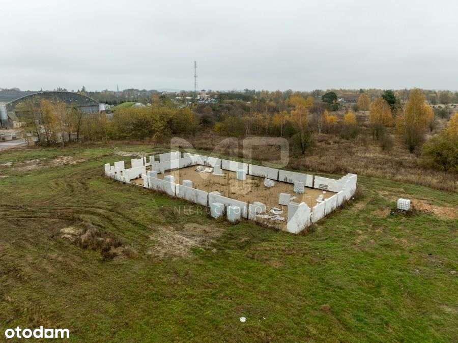 Działka, 10 004 m², Chojna-5