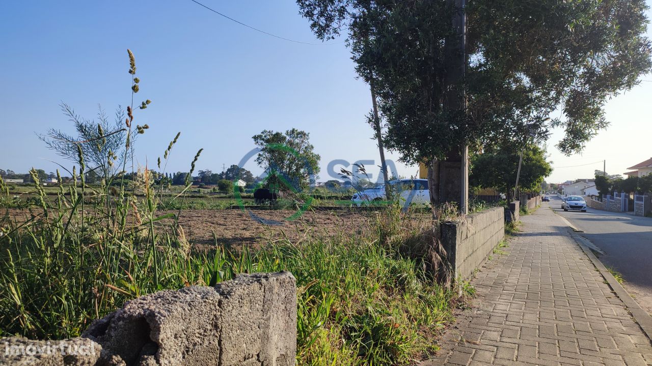 Quer construir na melhor zona de Esposende? Veja este terreno