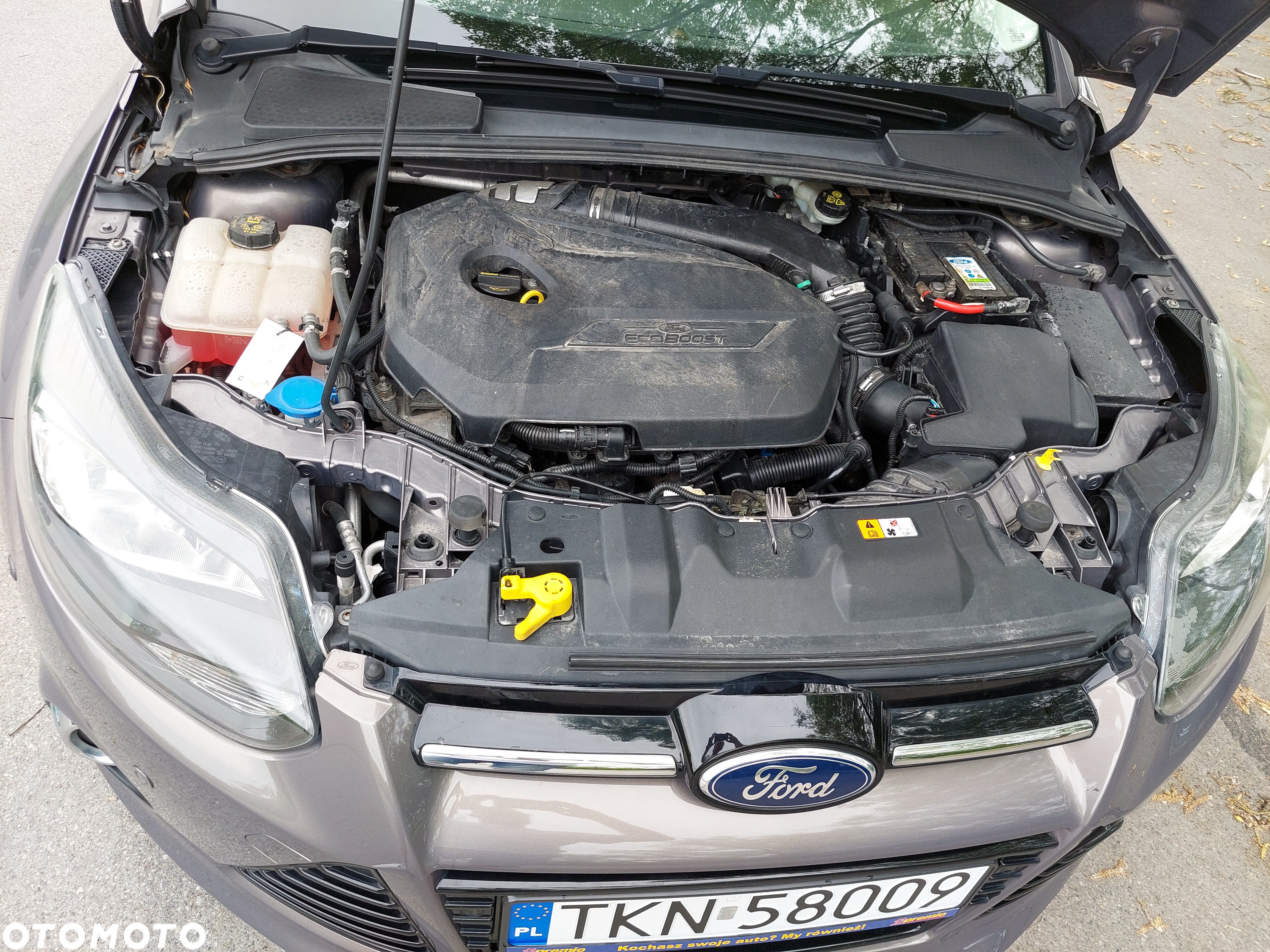 Ford Focus Turnier 1.6 EcoBoost Start-Stopp-System Trend - 22