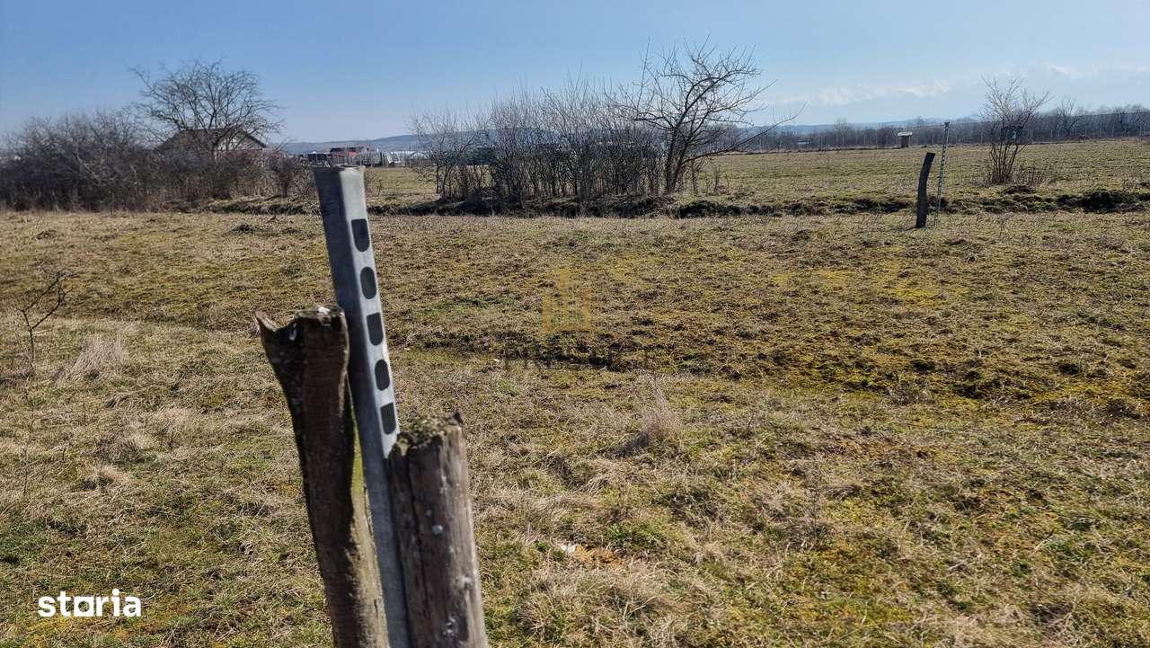 FĂRĂ COMISION | TEREN 1000 MP ȘELIMBĂR ZONA TROIȚĂ | INVESTIȚIE-5