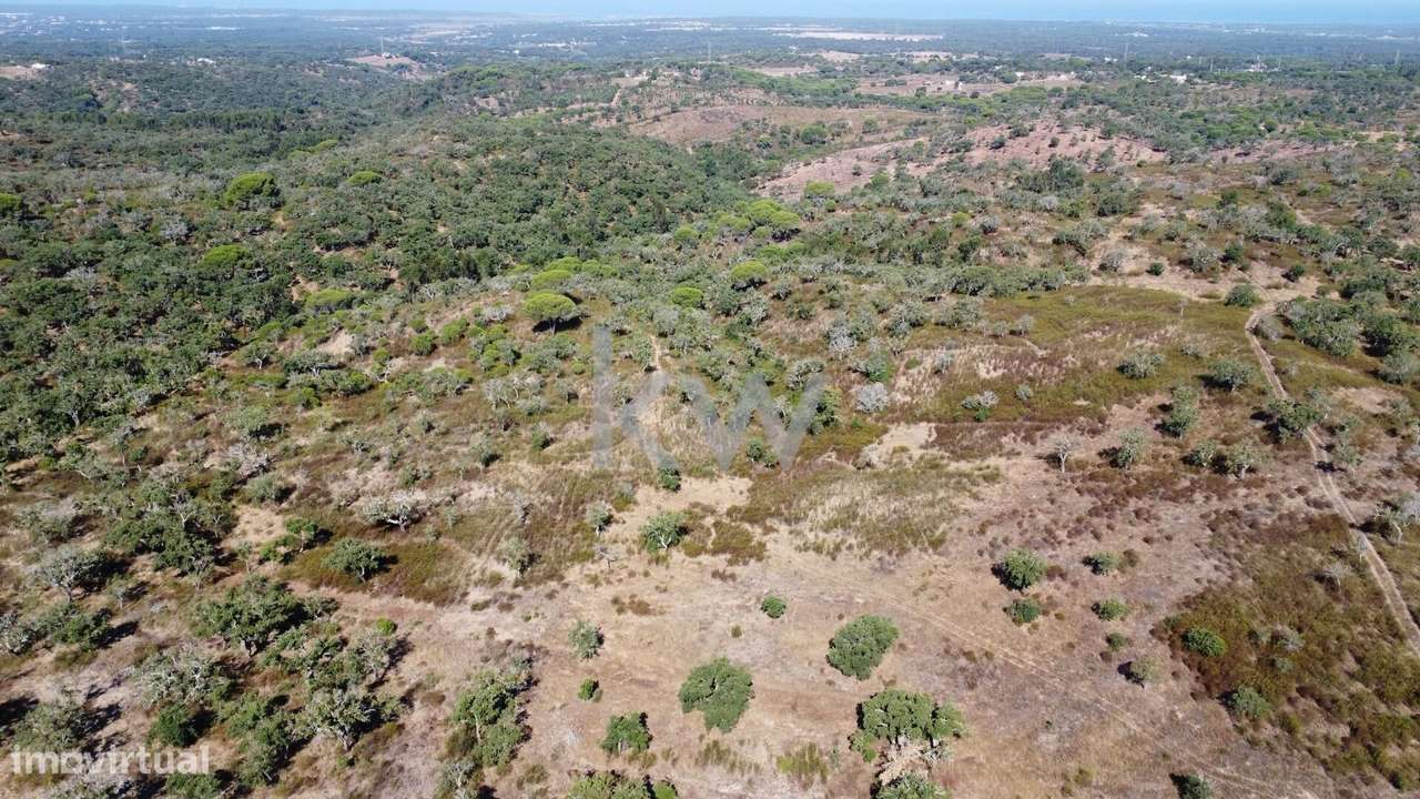 Terreno com 50 hectares, uma vista deslumbrante e inúmeras possibilida - Grande imagem: 4/15