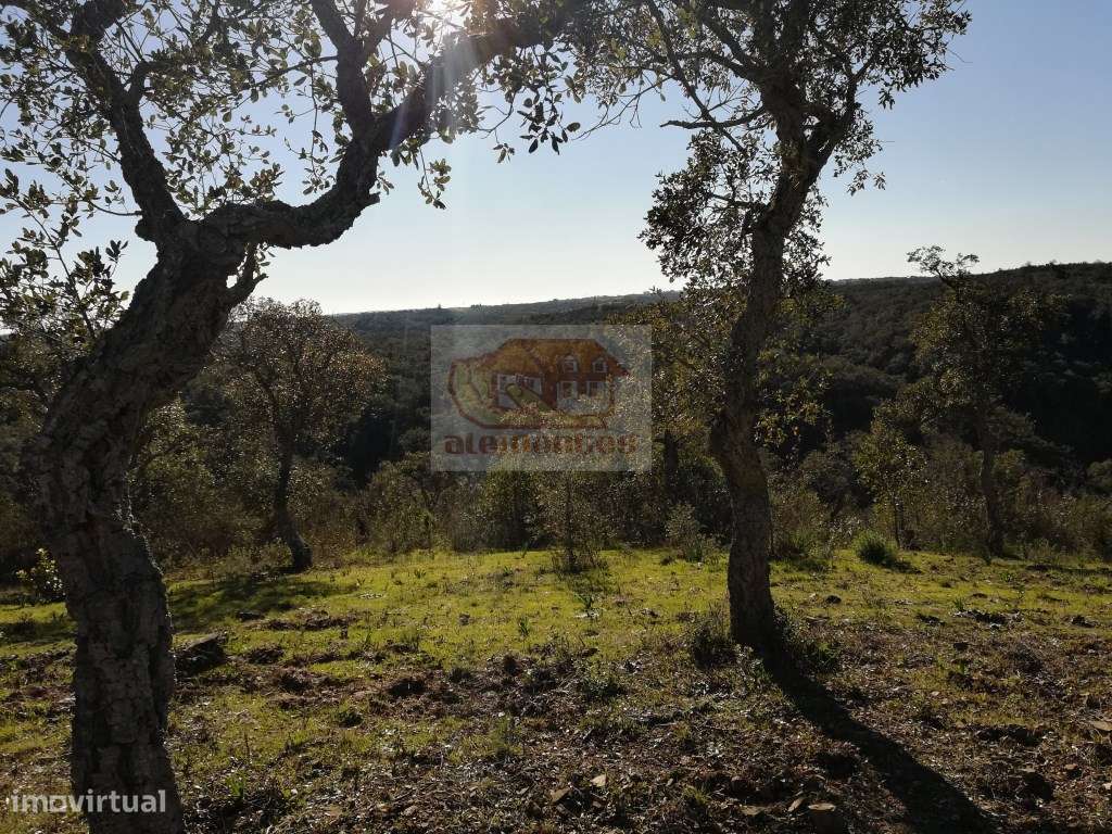 Hotel Rural: PRONTO A CONSTRUIR com todos os projectos aprovados-15