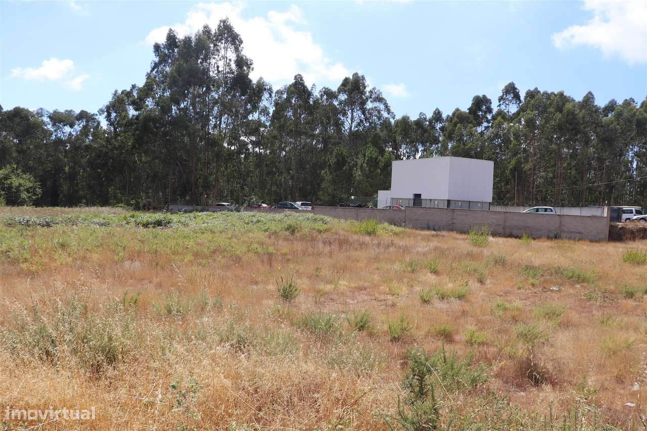 Lote de Terreno  Venda em Lustosa e Barrosas (Santo Estêvão),Lousada - Grande imagem: 5/9