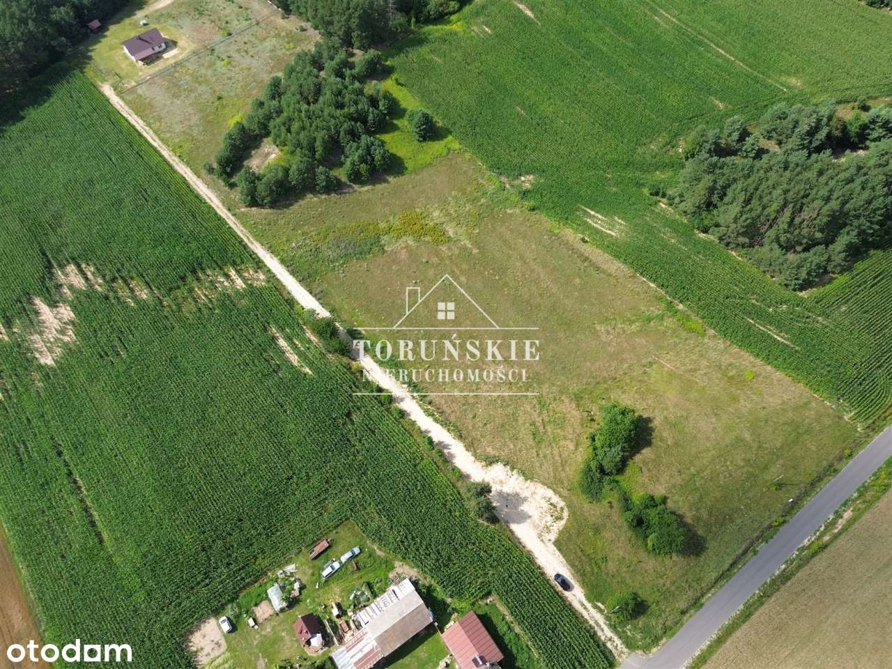 Działka rolna z przeznaczeniem pod siedlisko/dom - Pełny obrazek: 5/5