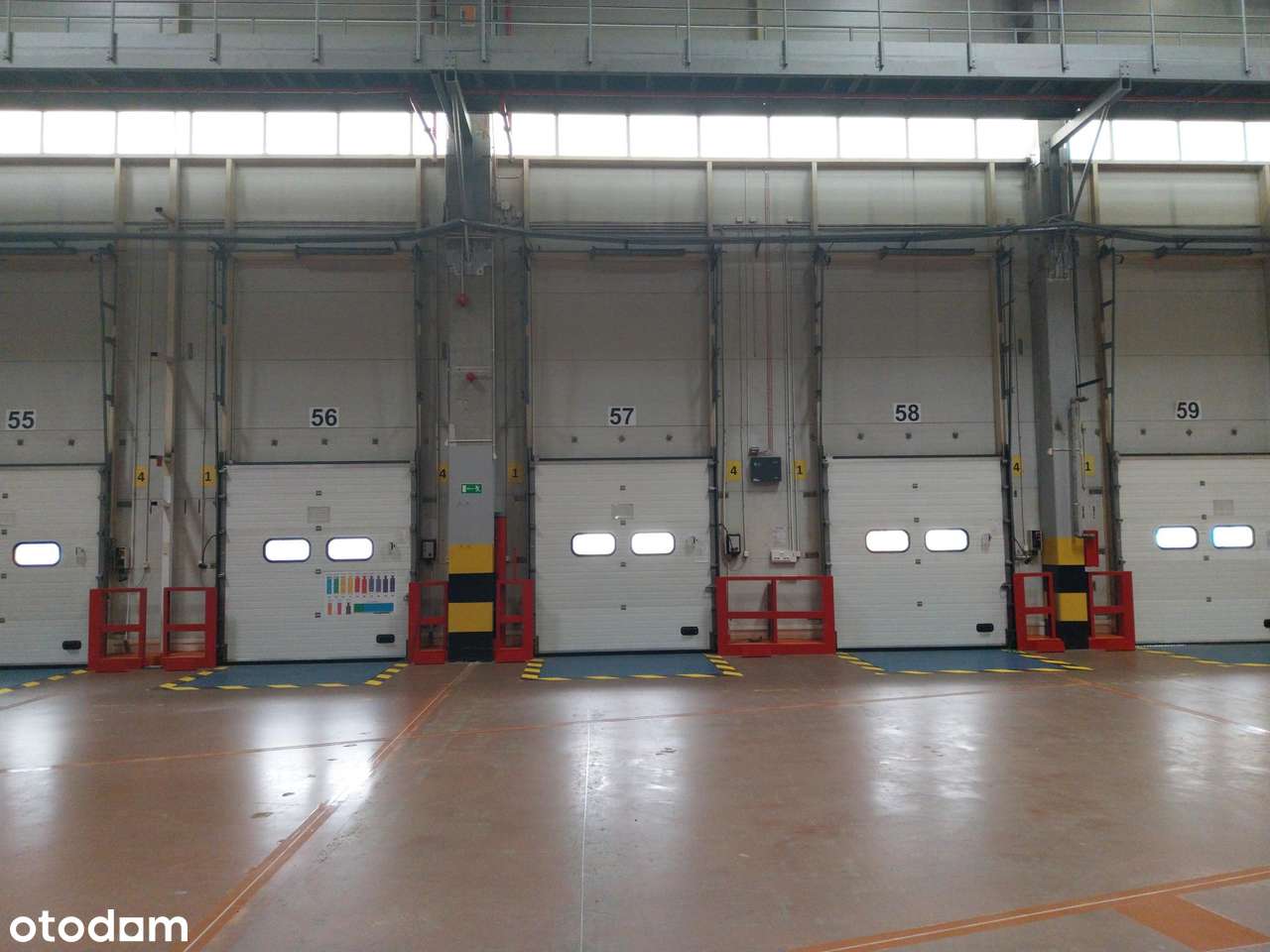 Magazyn na wynajem/ 5000 m2/ Tomaszów Mazowiecki/ zaregałowany - Pełny obrazek: 5/5