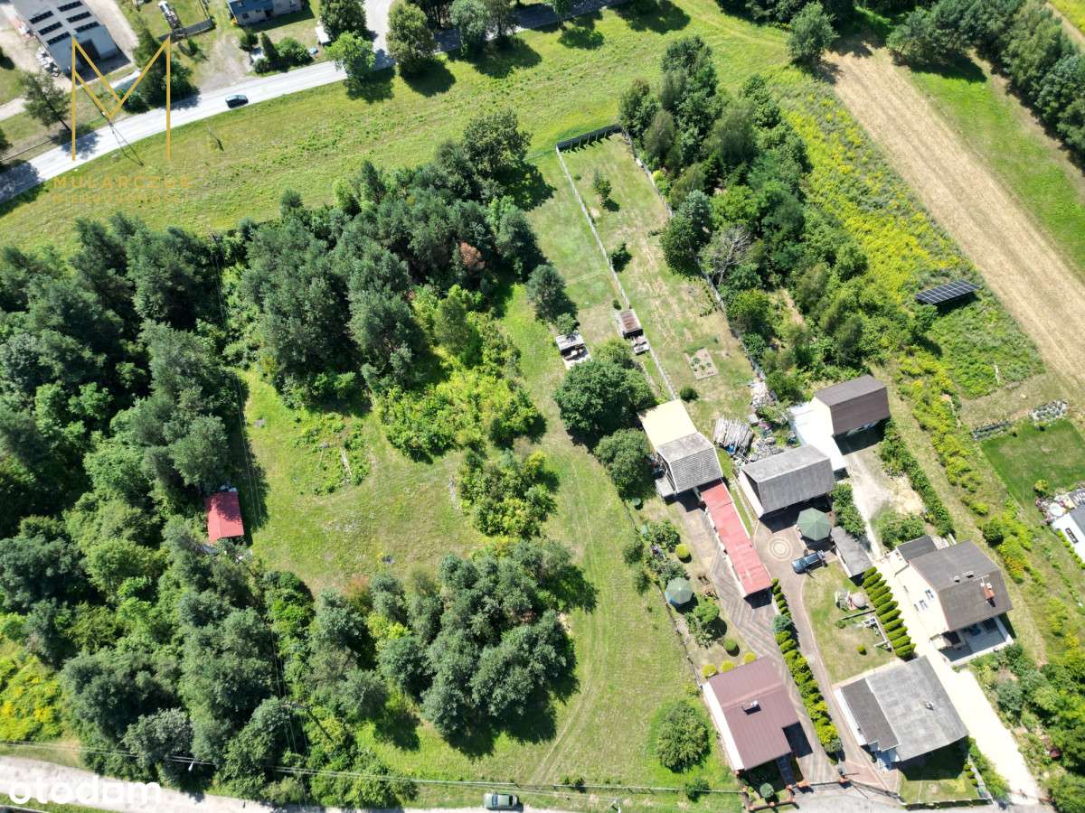 Działka 2758 m² w otoczeniu lasu - Łęka-3