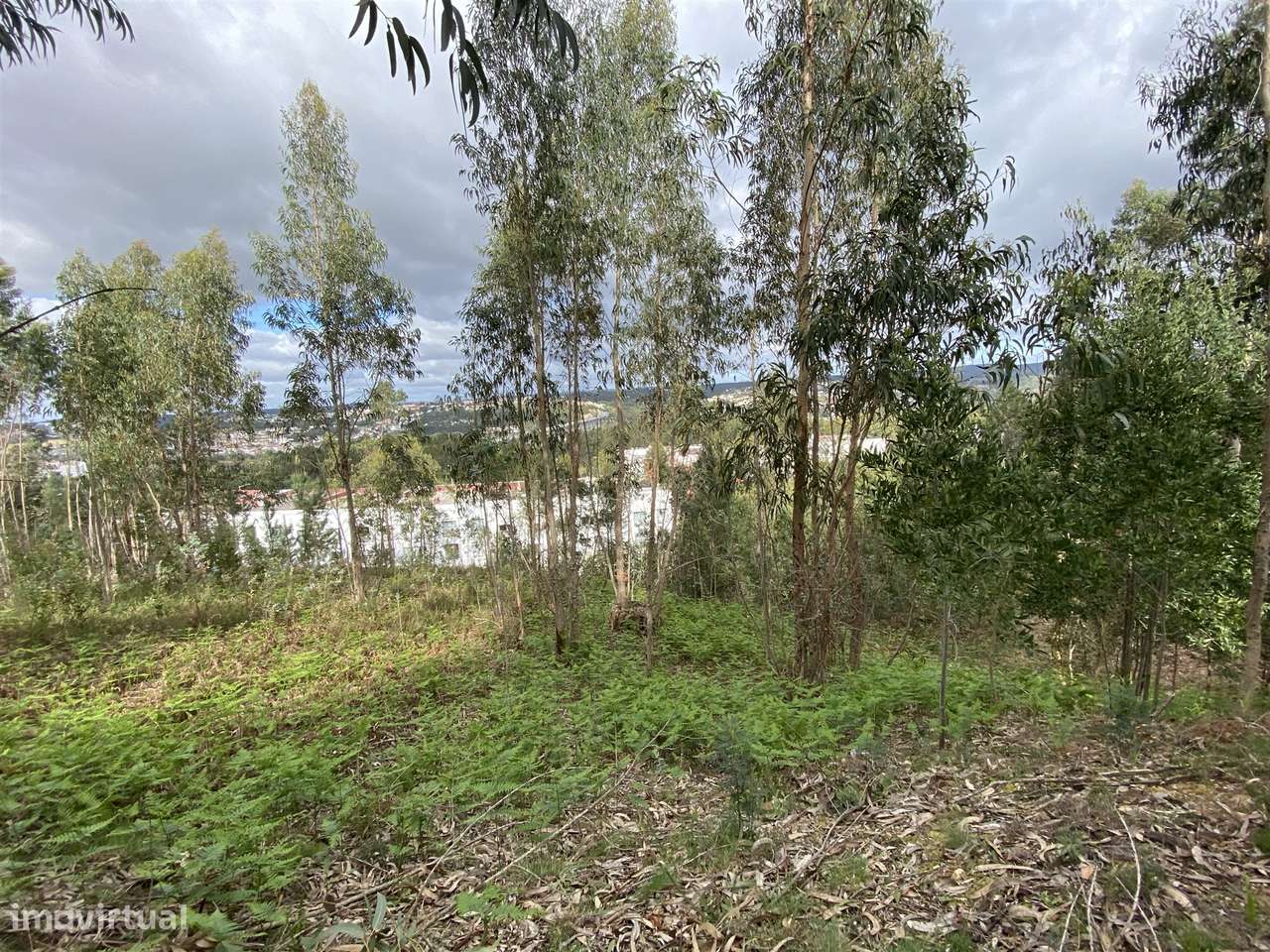 Terreno  Venda em Leiria, Pousos, Barreira e Cortes,Leiria - Grande imagem: 4/6