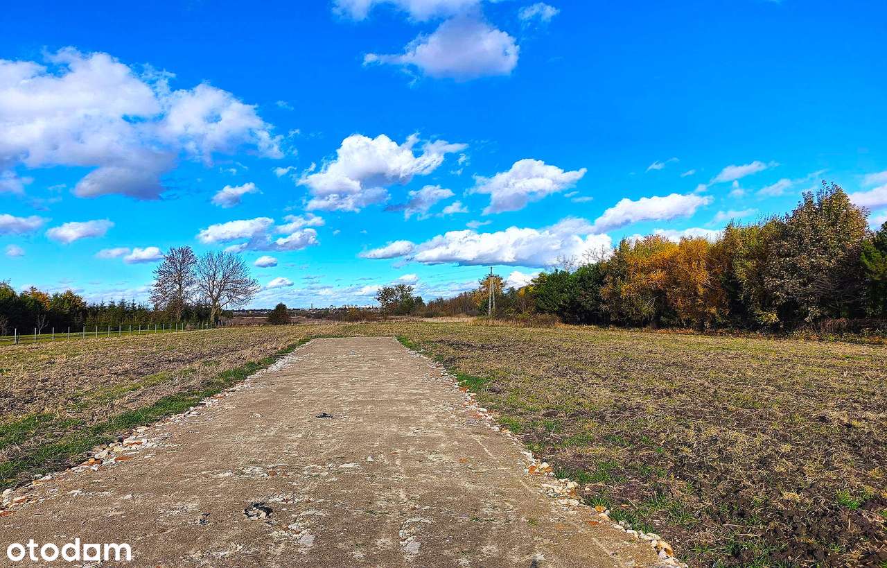 Działki Zwódne, wykonany zjazd z drogi - Pełny obrazek: 4/11