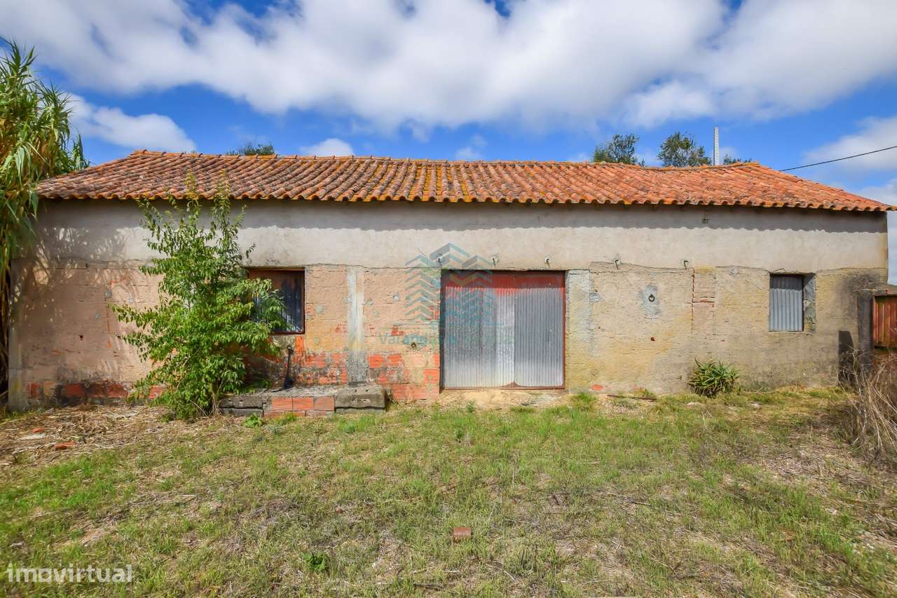 Quinta para remodelar - Torres Novas-22