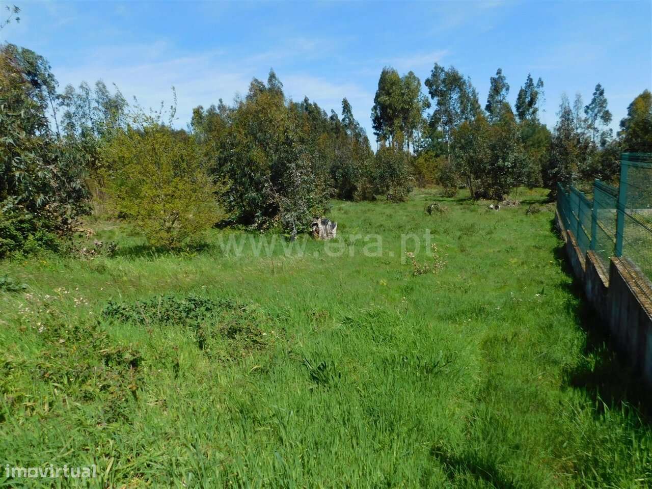 Terreno / Seia, Sameice e Santa Eulália - Grande imagem: 5/13