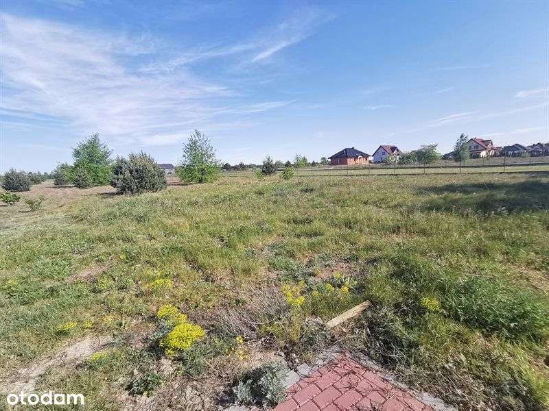 Sprzedam działkę inwestycyjną, Kuny - Pełny obrazek: 4/13