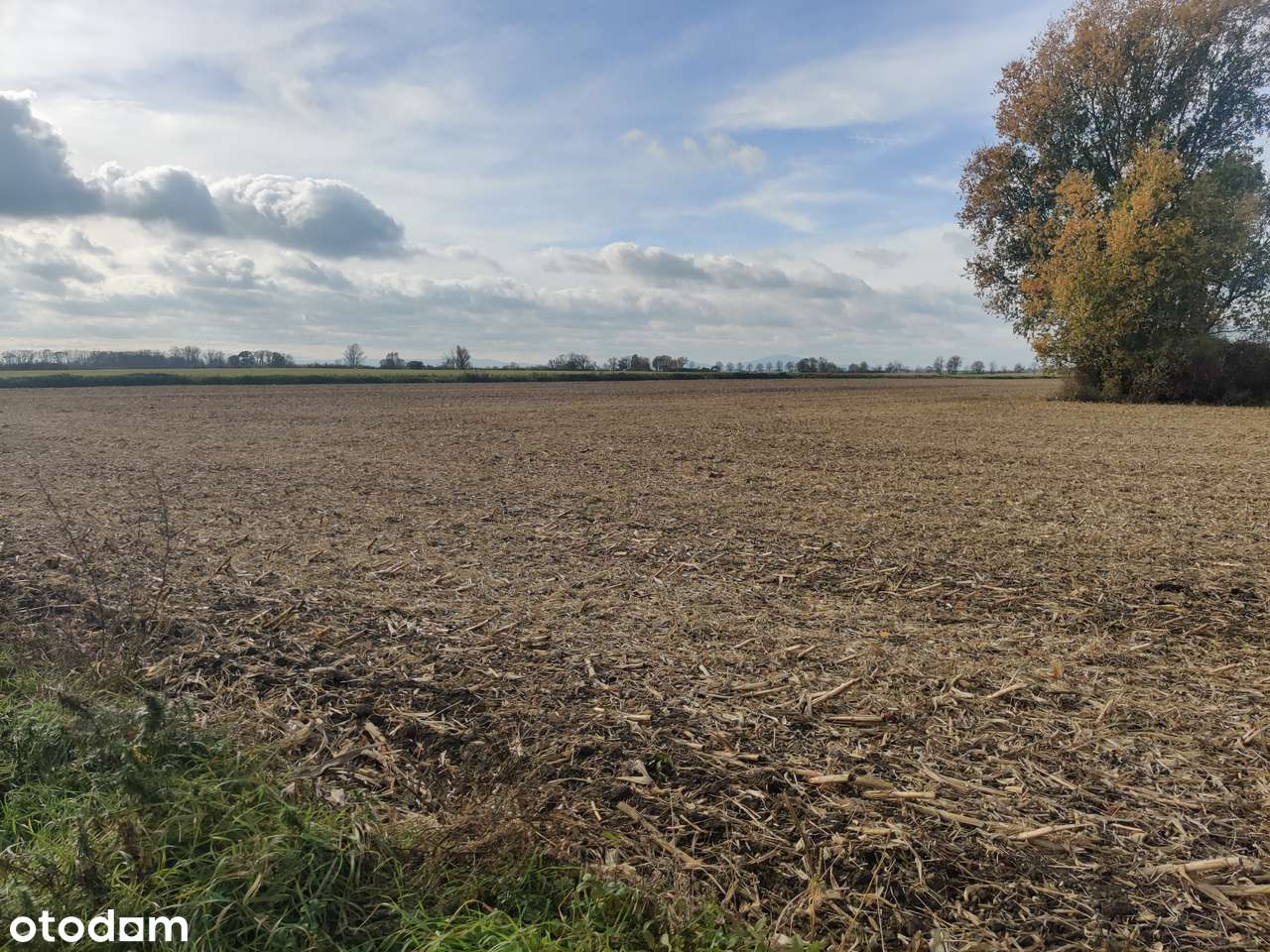 Piękne działki w Racławicach Małych! Atrakcyjna cena! - Pełny obrazek: 2/3