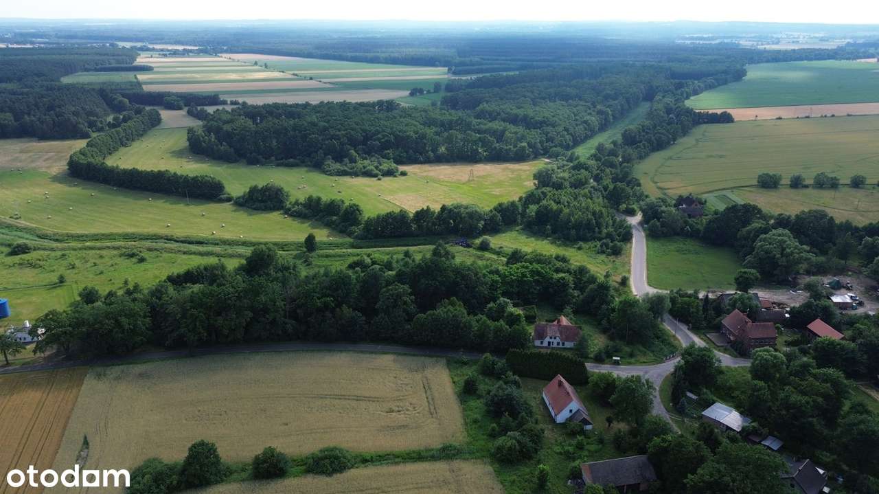 Wyjątkowa posiadłość w sercu lasu | Henrykowice k. Milicza | Dom 280 m-13