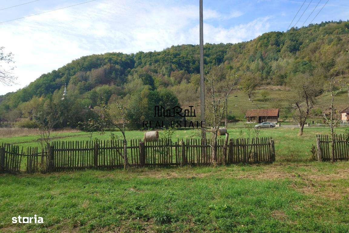 Teren, padure si casa in Dumbrava de Jos, jud. Hunedoara-19