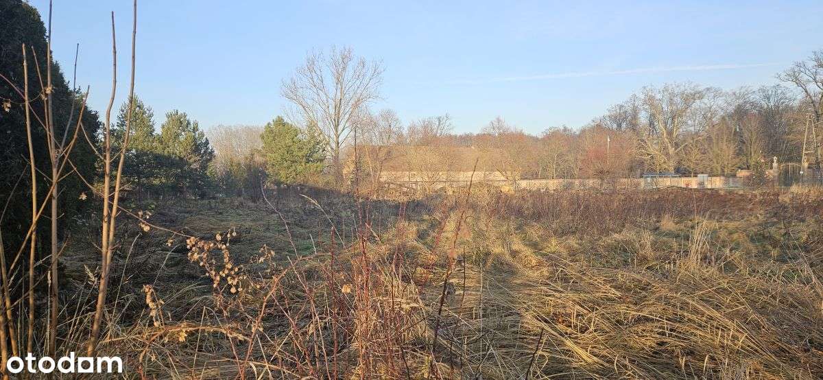 Chróstnik, gm. Lubin, powiat lubiński-4