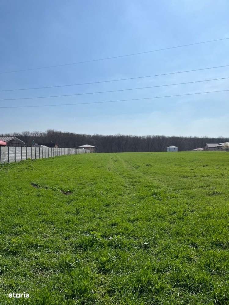 Teren vanzare Branesti, langa padure. Dubla deschidere. - Imagine principală: 1/7