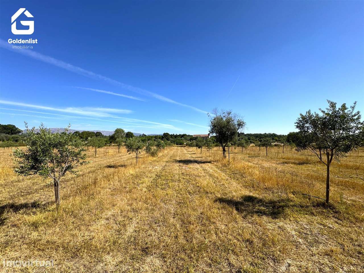 Quinta  Venda em Lardosa,Castelo Branco-22
