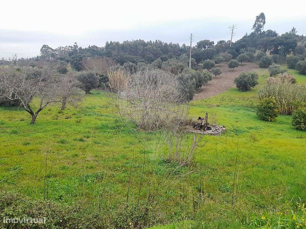 Terreno  para venda - Grande imagem: 3/20