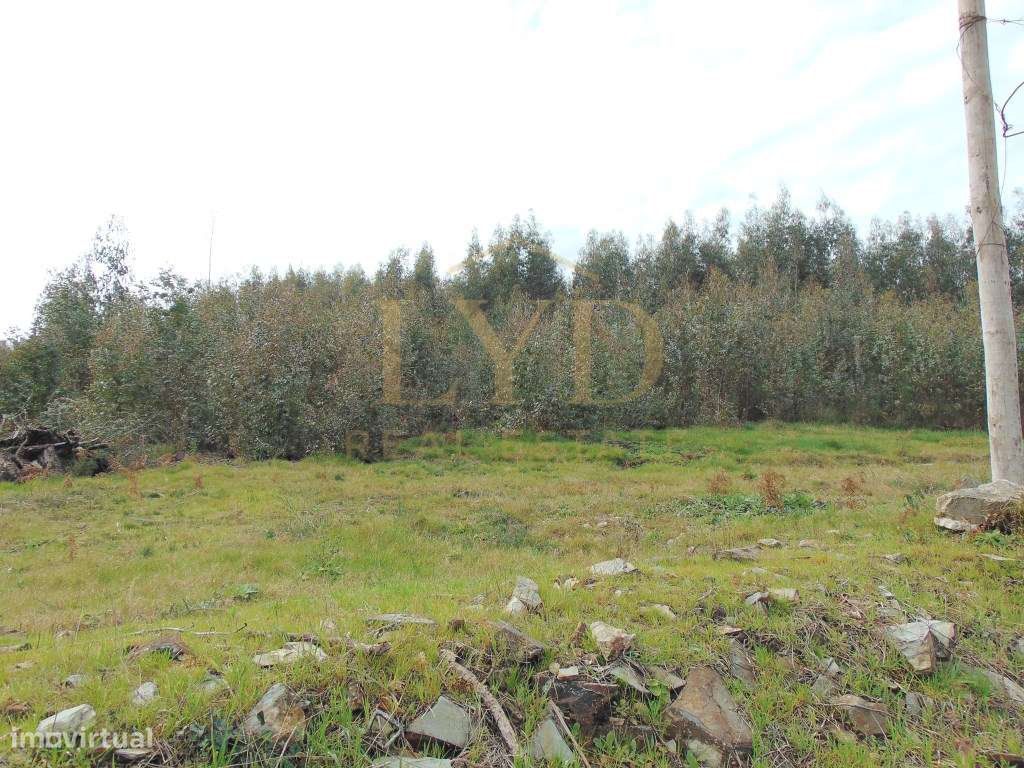 Quinta em Nogueira Paraíso Castelo de Paiva-23