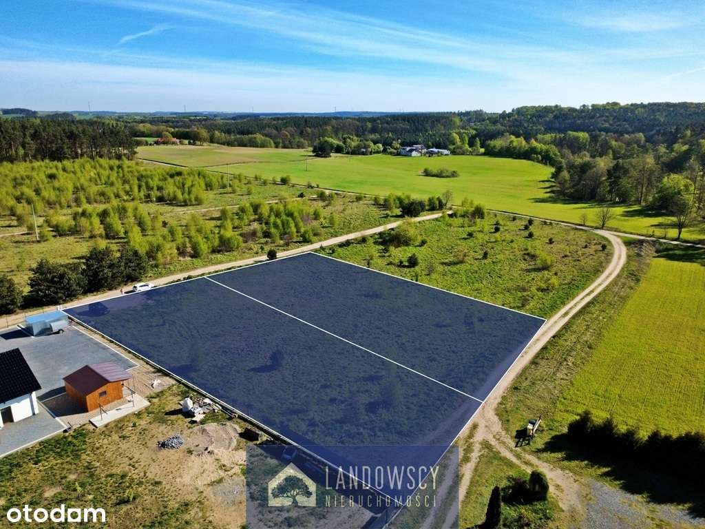 Niewielu sąsiadów, rzeka i las w sąsiedztwie - Pełny obrazek: 4/19