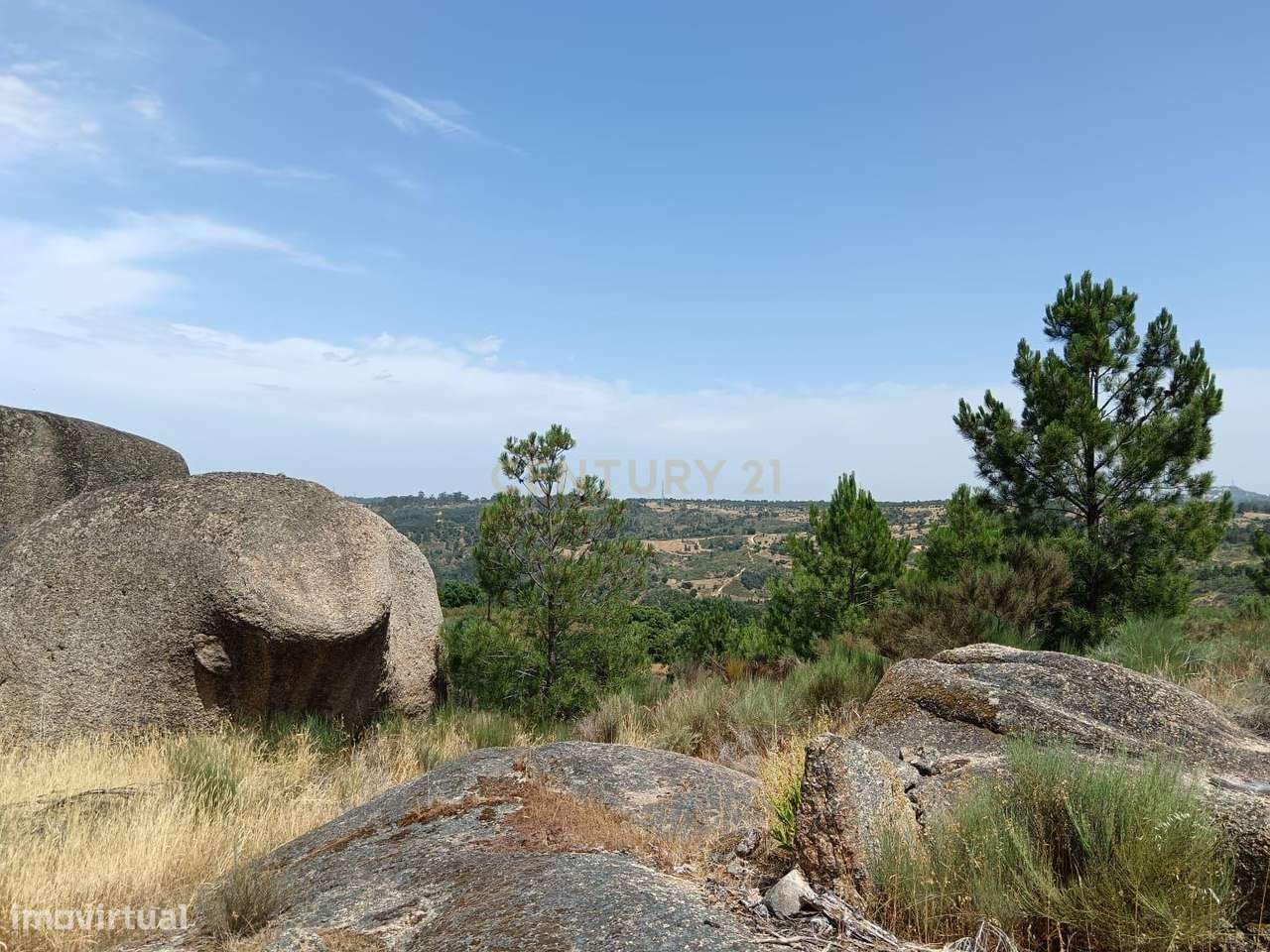 Terreno Rústico com 17200 m2 em Palvarinho, Castelo Branco - Grande imagem: 5/11