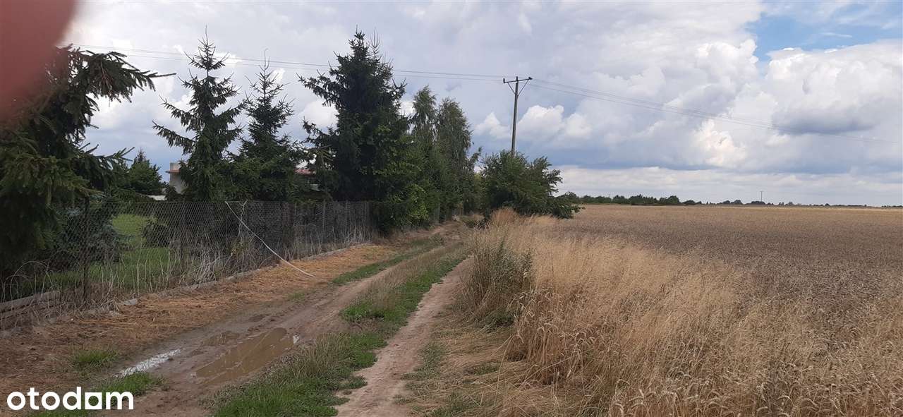 Działki budowlane w Lutyni-3