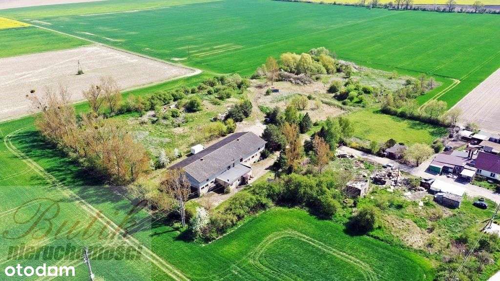 Działka zagrodowa w Lusówku-4