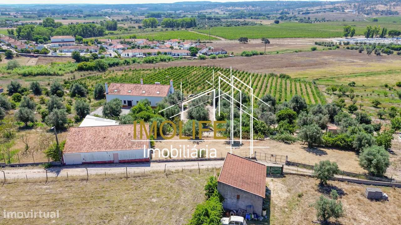 Armazém para venda em Cabeção-14