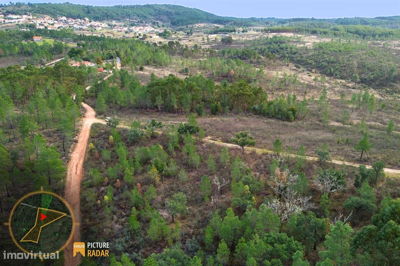 Terreno 1ha | Vistas de Vale | Salgueiro do Campo, PT-24