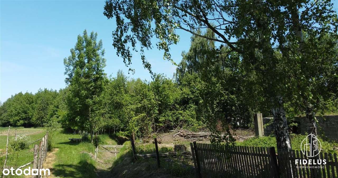 Działka budowlano-rolna z pozostałościami budynku - Pełny obrazek: 4/6