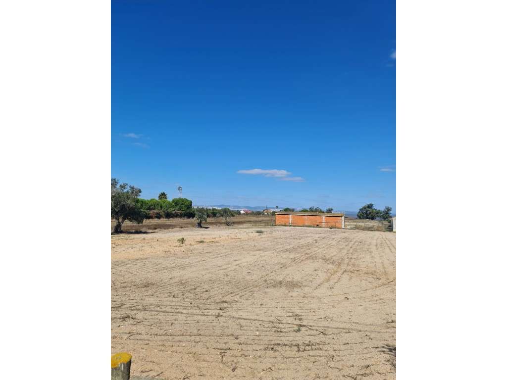 Terreno em Alcochete junto ao Rio Tejo com Projecto Aprovado-9