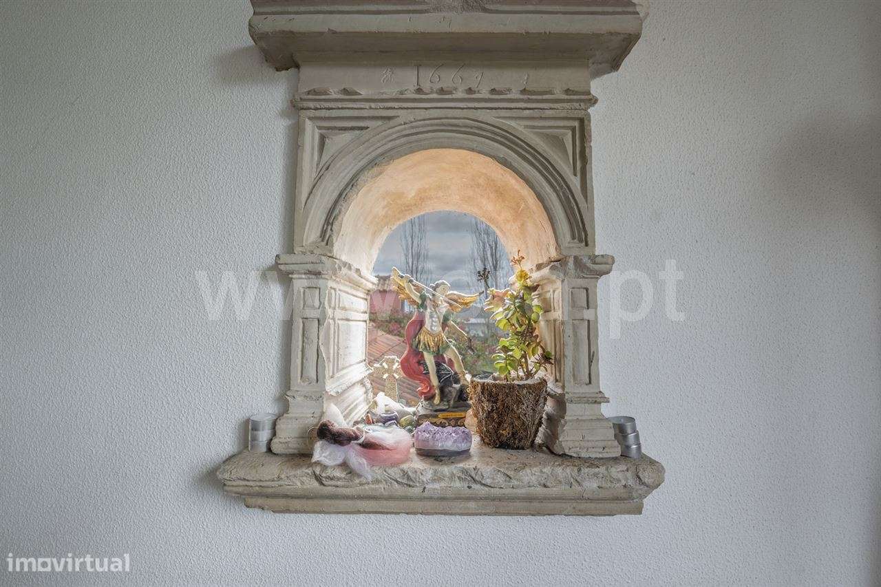 Magnifica Quinta T7; Verdizela-27
