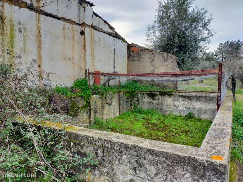 QUINTA COM 5HA DE TERRENO COM 500M2 URBANO - GALVEIAS - PONTE DE SOR-14