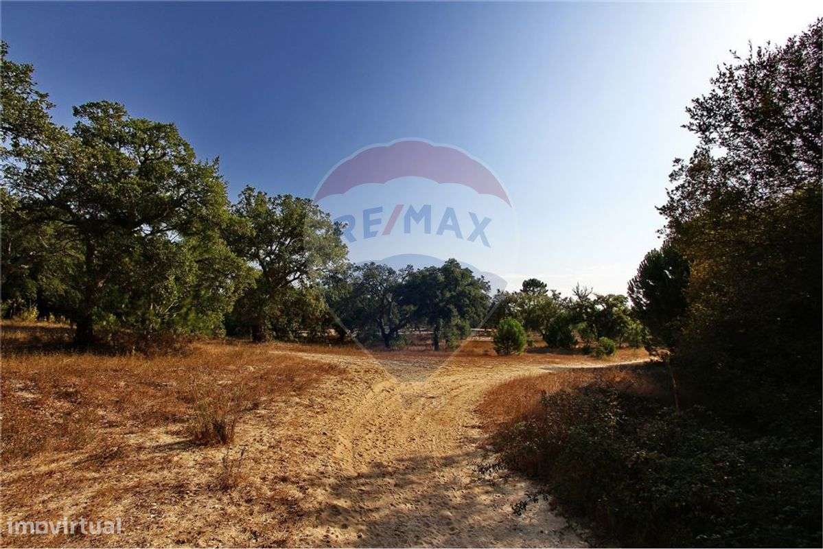 Terreno  para venda - Grande imagem: 2/9